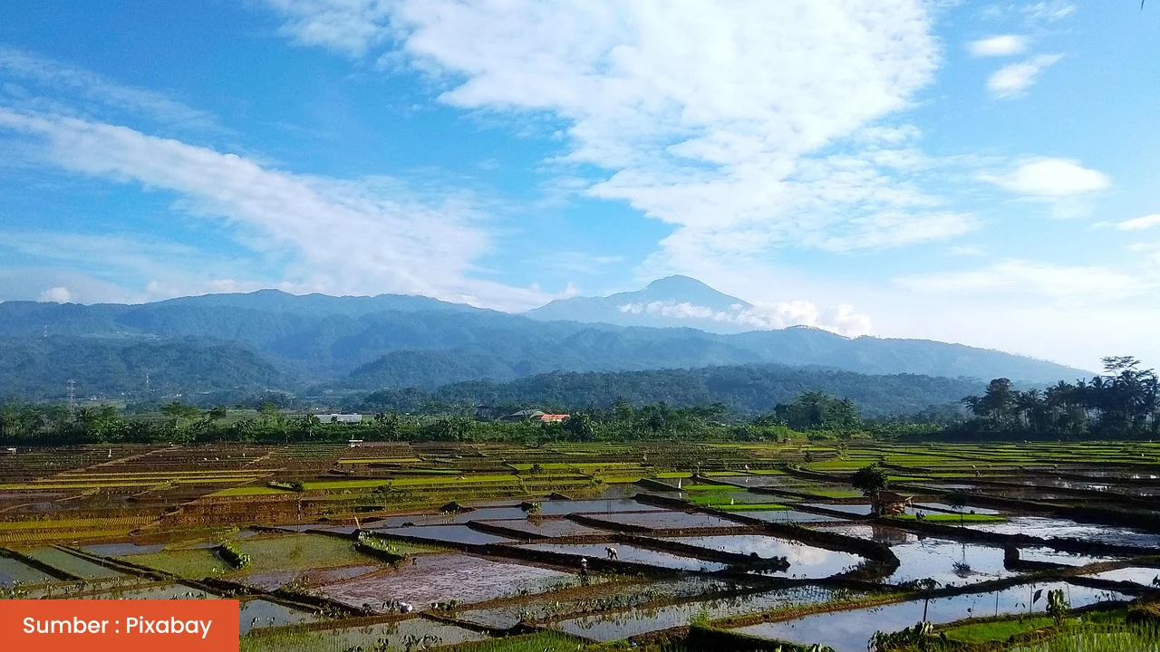 Bagaimana Teknologi Geospasial Membantu Sistem Irigasi Pertanian?