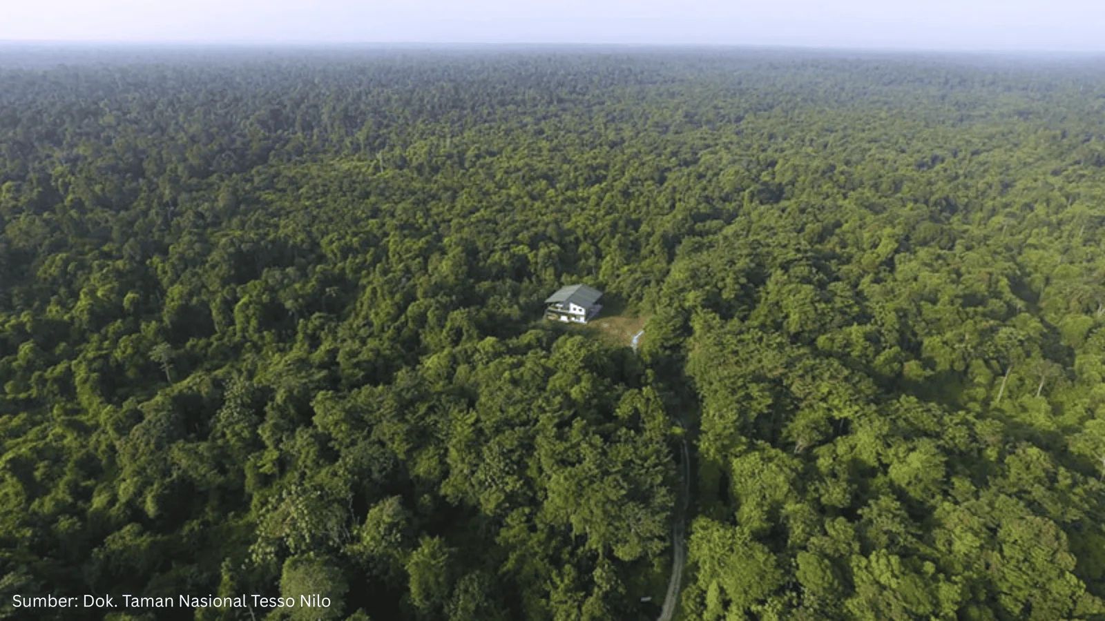 Mendorong Pemulihan Taman Nasional Tesso Nilo lewat Teknologi Geospasial