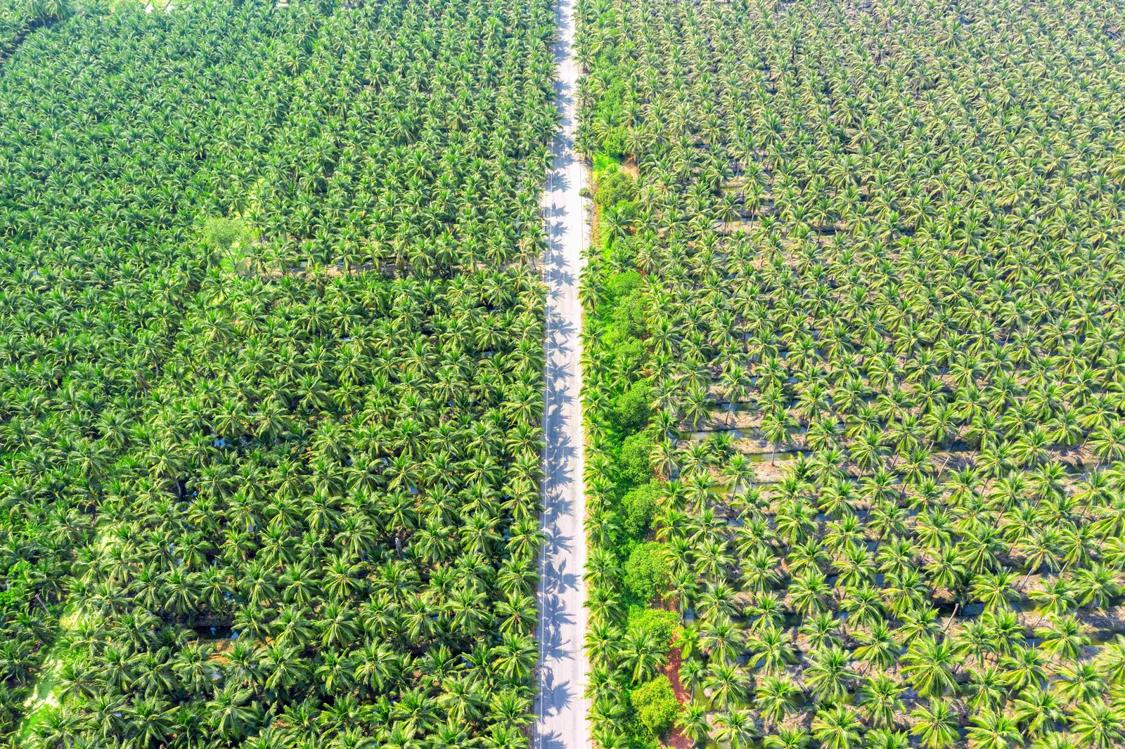 Perbatasan yang Samar: Konflik Agraria dan Peran Sistem Informasi Geografis